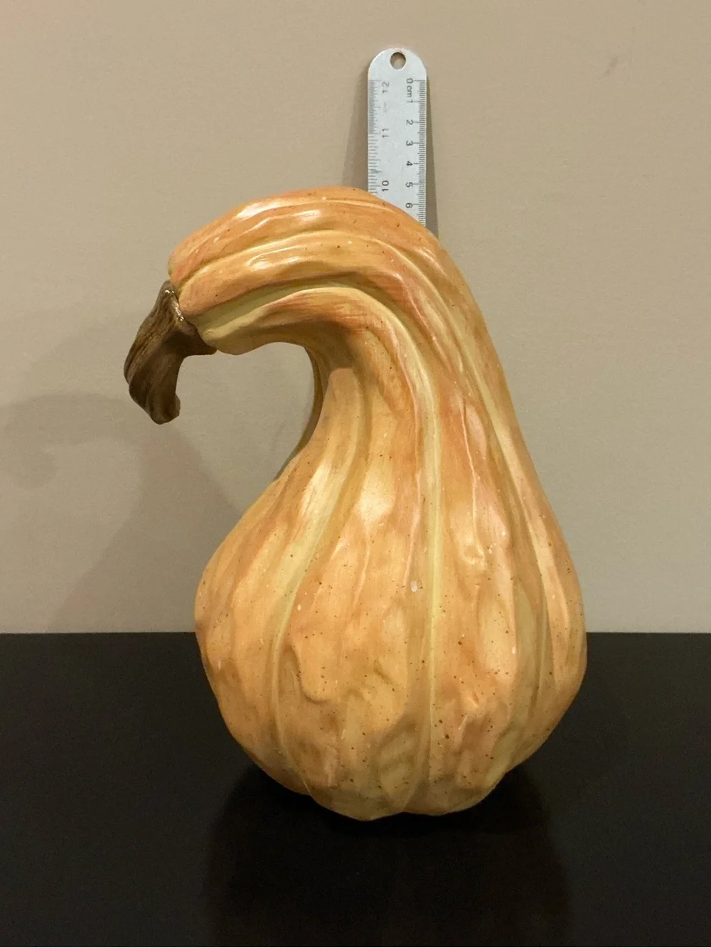 One Indoor/Outdoor Autumn Pumpkin Squash  🍂
